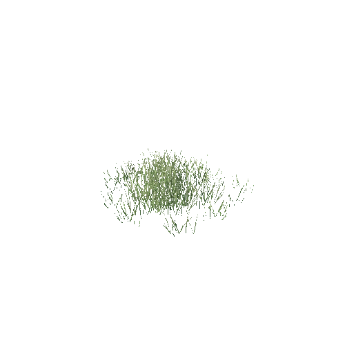 Grass 02